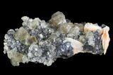 3.2" Cerussite Crystals with Bladed Barite on Galena - Morocco - #98737-1